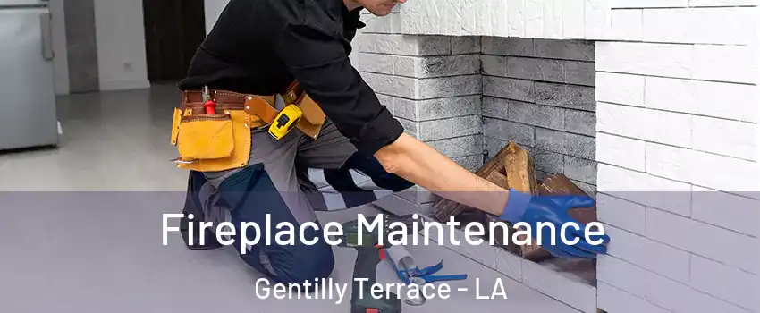 Fireplace Maintenance Gentilly Terrace - LA