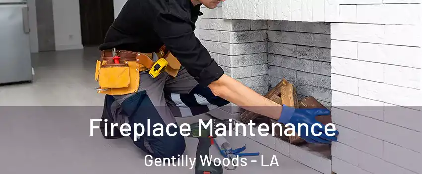 Fireplace Maintenance Gentilly Woods - LA