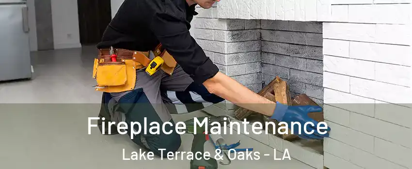 Fireplace Maintenance Lake Terrace & Oaks - LA