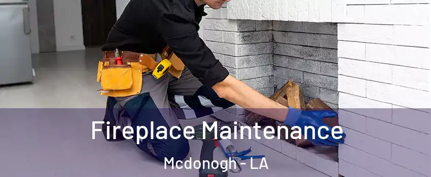 Fireplace Maintenance Mcdonogh - LA