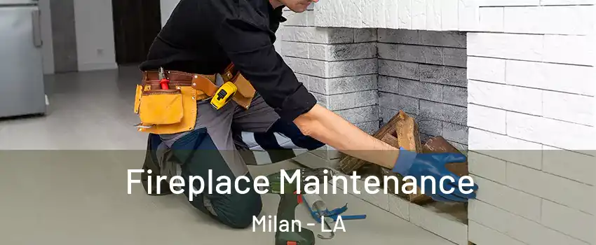 Fireplace Maintenance Milan - LA