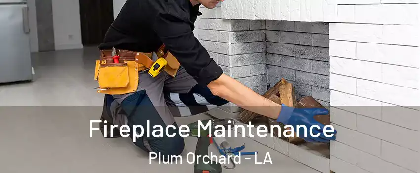 Fireplace Maintenance Plum Orchard - LA