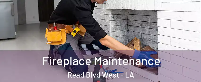 Fireplace Maintenance Read Blvd West - LA