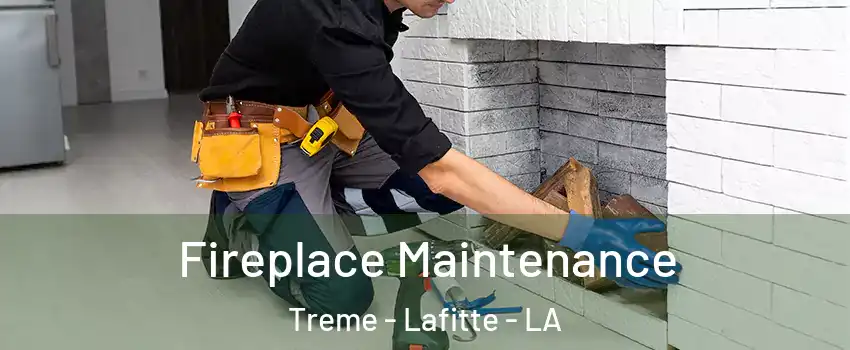 Fireplace Maintenance Treme - Lafitte - LA