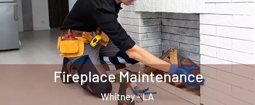 Fireplace Maintenance Whitney - LA