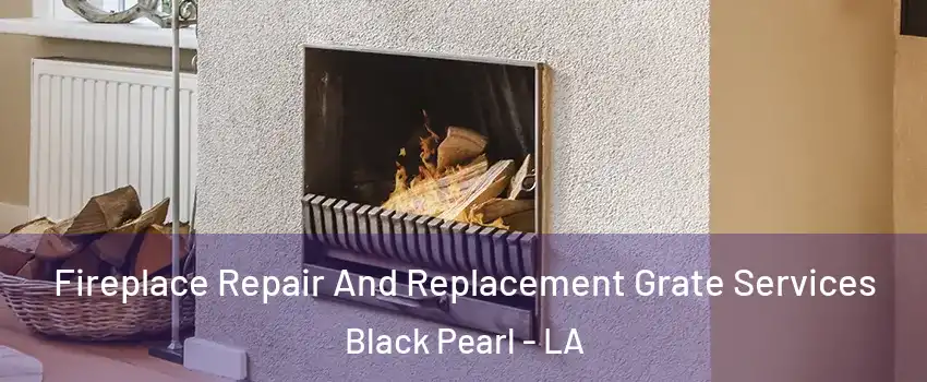 Fireplace Repair And Replacement Grate Services Black Pearl - LA