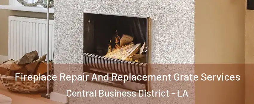 Fireplace Repair And Replacement Grate Services Central Business District - LA