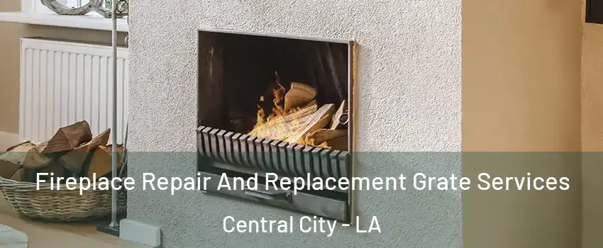 Fireplace Repair And Replacement Grate Services Central City - LA