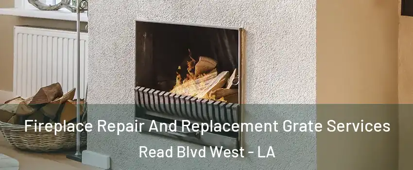 Fireplace Repair And Replacement Grate Services Read Blvd West - LA