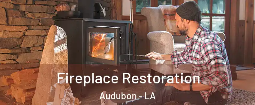 Fireplace Restoration Audubon - LA