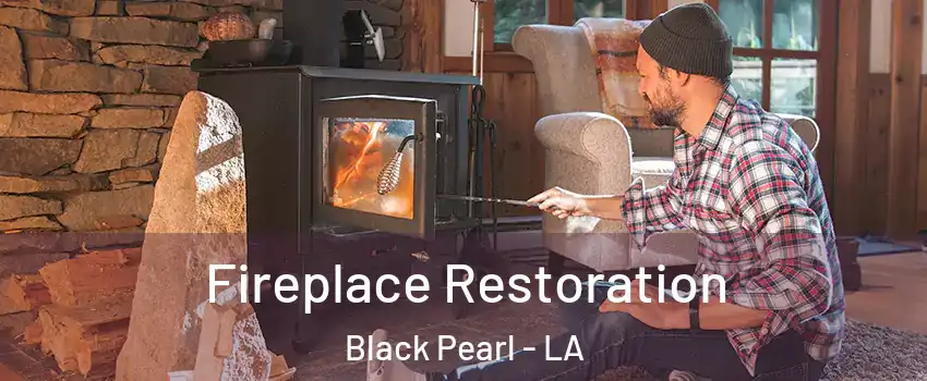 Fireplace Restoration Black Pearl - LA