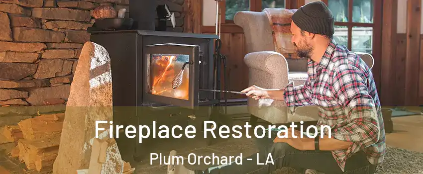 Fireplace Restoration Plum Orchard - LA