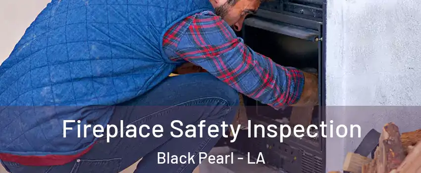 Fireplace Safety Inspection Black Pearl - LA