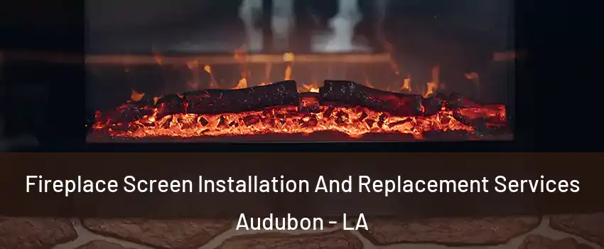 Fireplace Screen Installation And Replacement Services Audubon - LA