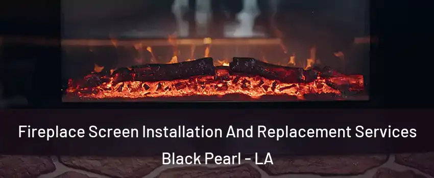 Fireplace Screen Installation And Replacement Services Black Pearl - LA