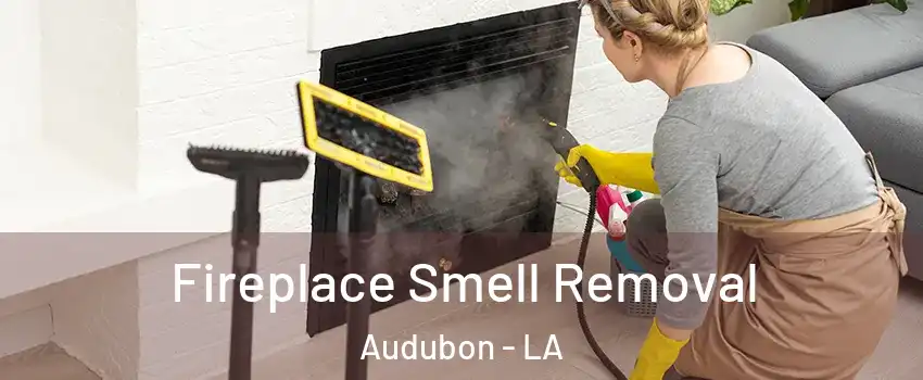 Fireplace Smell Removal Audubon - LA