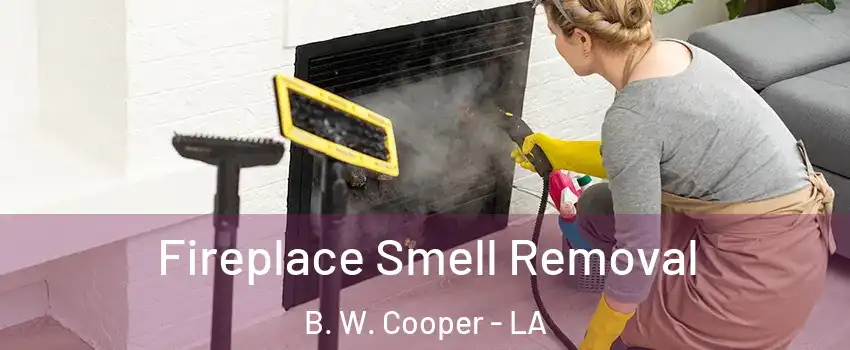 Fireplace Smell Removal B. W. Cooper - LA