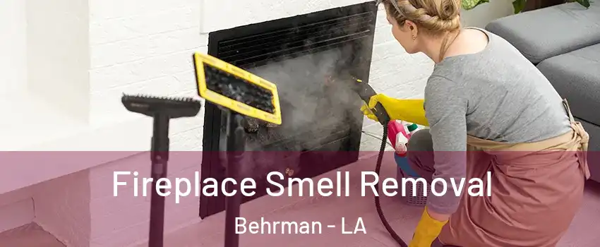 Fireplace Smell Removal Behrman - LA