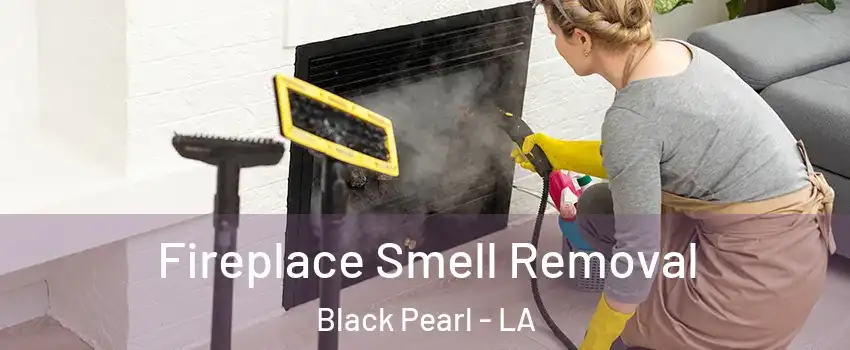 Fireplace Smell Removal Black Pearl - LA