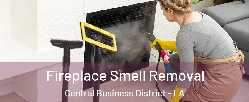 Fireplace Smell Removal Central Business District - LA