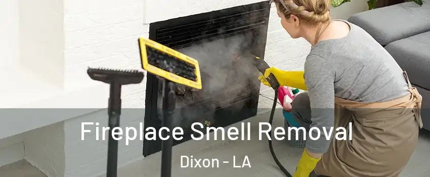 Fireplace Smell Removal Dixon - LA