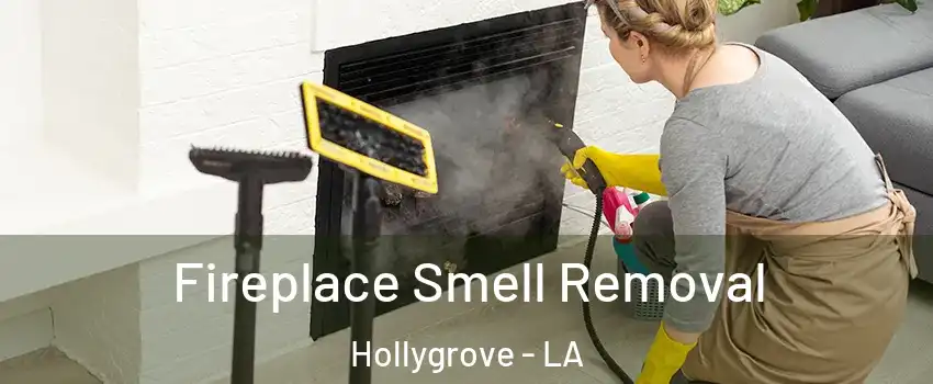 Fireplace Smell Removal Hollygrove - LA