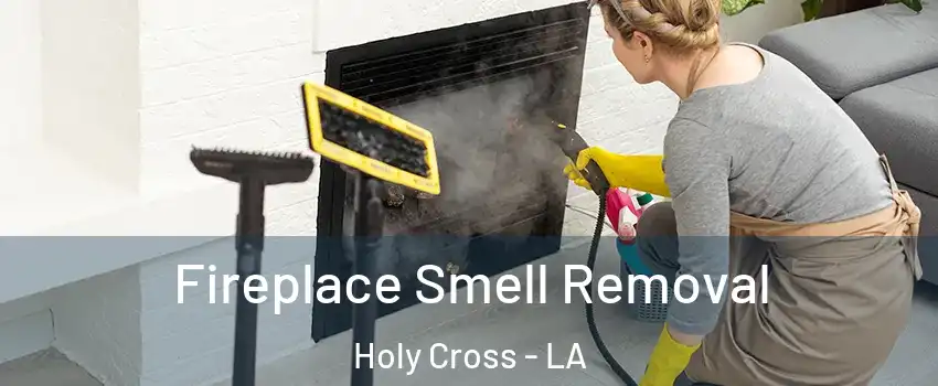 Fireplace Smell Removal Holy Cross - LA