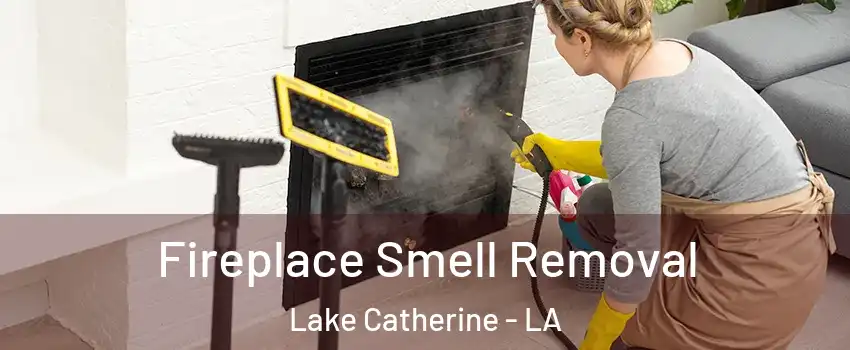 Fireplace Smell Removal Lake Catherine - LA