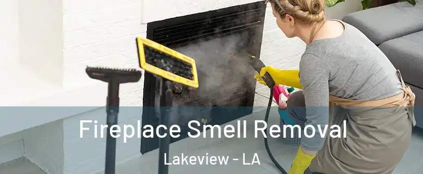 Fireplace Smell Removal Lakeview - LA