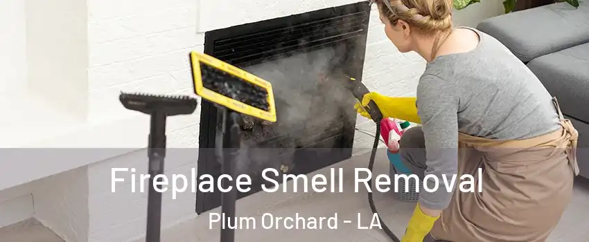 Fireplace Smell Removal Plum Orchard - LA