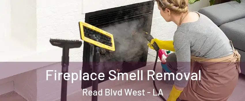 Fireplace Smell Removal Read Blvd West - LA