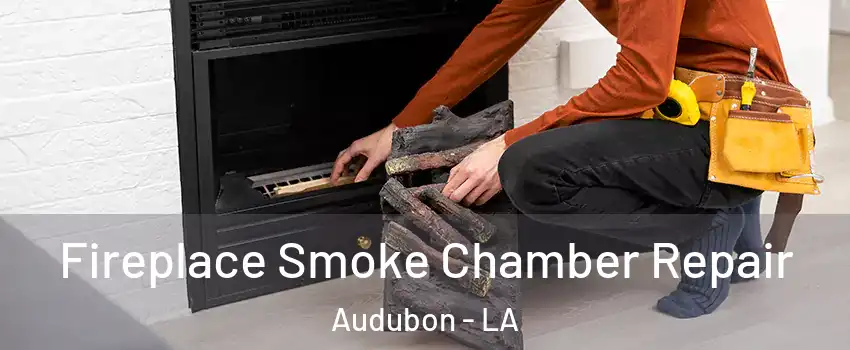 Fireplace Smoke Chamber Repair Audubon - LA