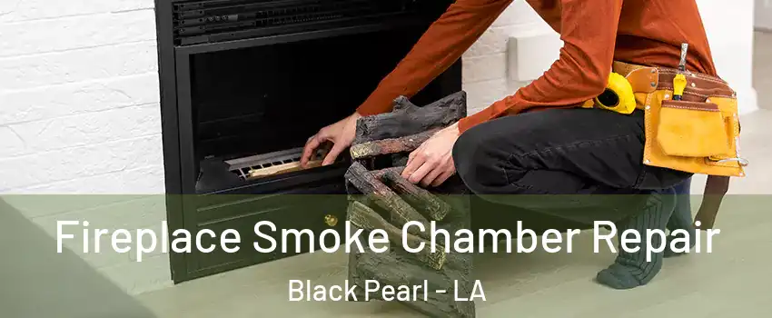 Fireplace Smoke Chamber Repair Black Pearl - LA