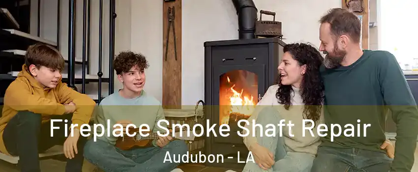 Fireplace Smoke Shaft Repair Audubon - LA