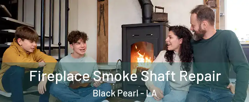 Fireplace Smoke Shaft Repair Black Pearl - LA