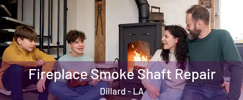 Fireplace Smoke Shaft Repair Dillard - LA