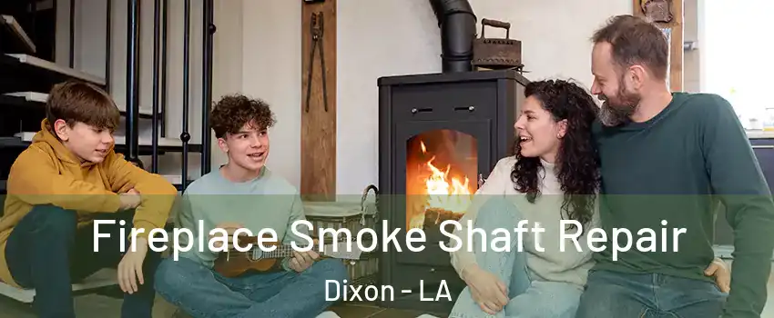 Fireplace Smoke Shaft Repair Dixon - LA