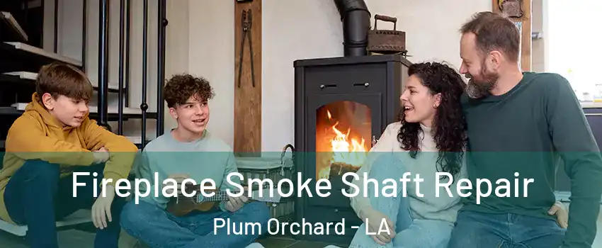 Fireplace Smoke Shaft Repair Plum Orchard - LA