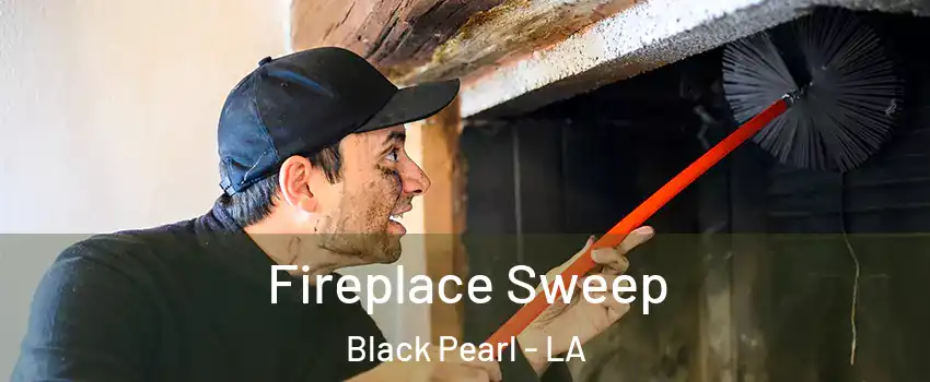 Fireplace Sweep Black Pearl - LA