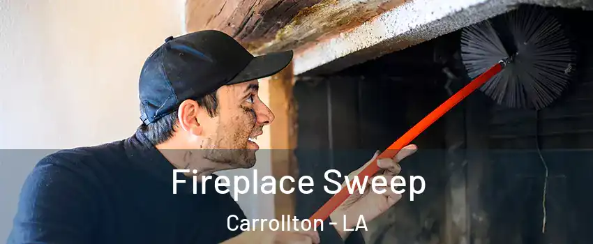 Fireplace Sweep Carrollton - LA