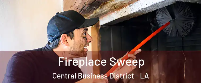 Fireplace Sweep Central Business District - LA