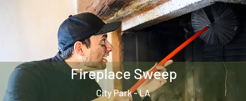 Fireplace Sweep City Park - LA