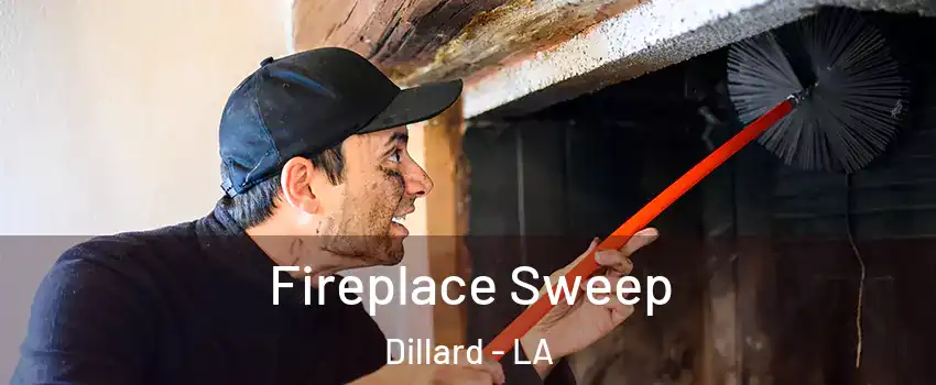 Fireplace Sweep Dillard - LA