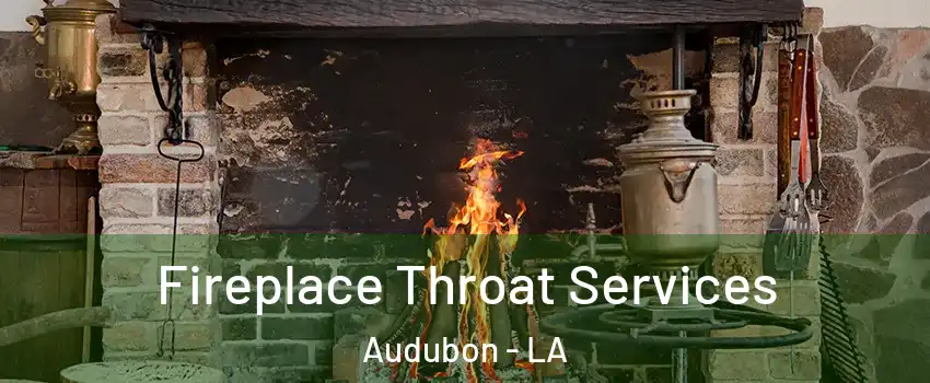 Fireplace Throat Services Audubon - LA