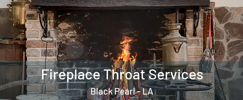 Fireplace Throat Services Black Pearl - LA