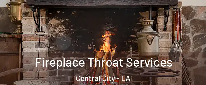 Fireplace Throat Services Central City - LA