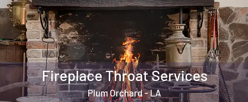 Fireplace Throat Services Plum Orchard - LA