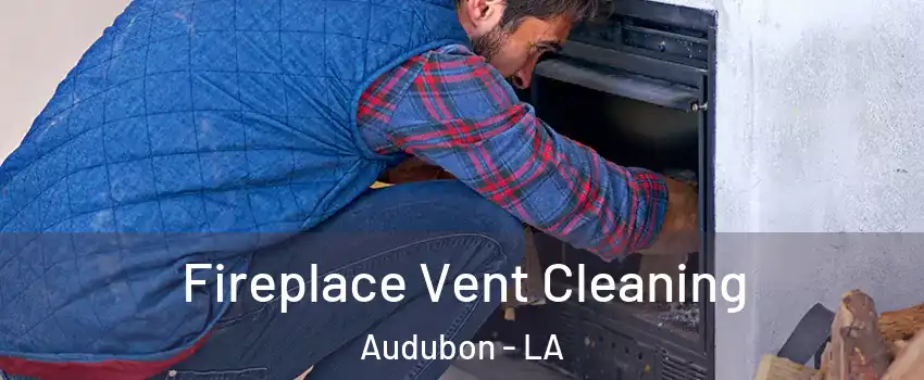 Fireplace Vent Cleaning Audubon - LA