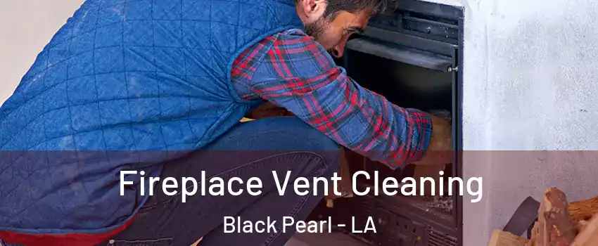 Fireplace Vent Cleaning Black Pearl - LA