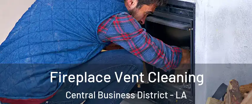 Fireplace Vent Cleaning Central Business District - LA